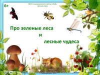 «Про зелёные леса и лесные чудеса» (игра-викторина)